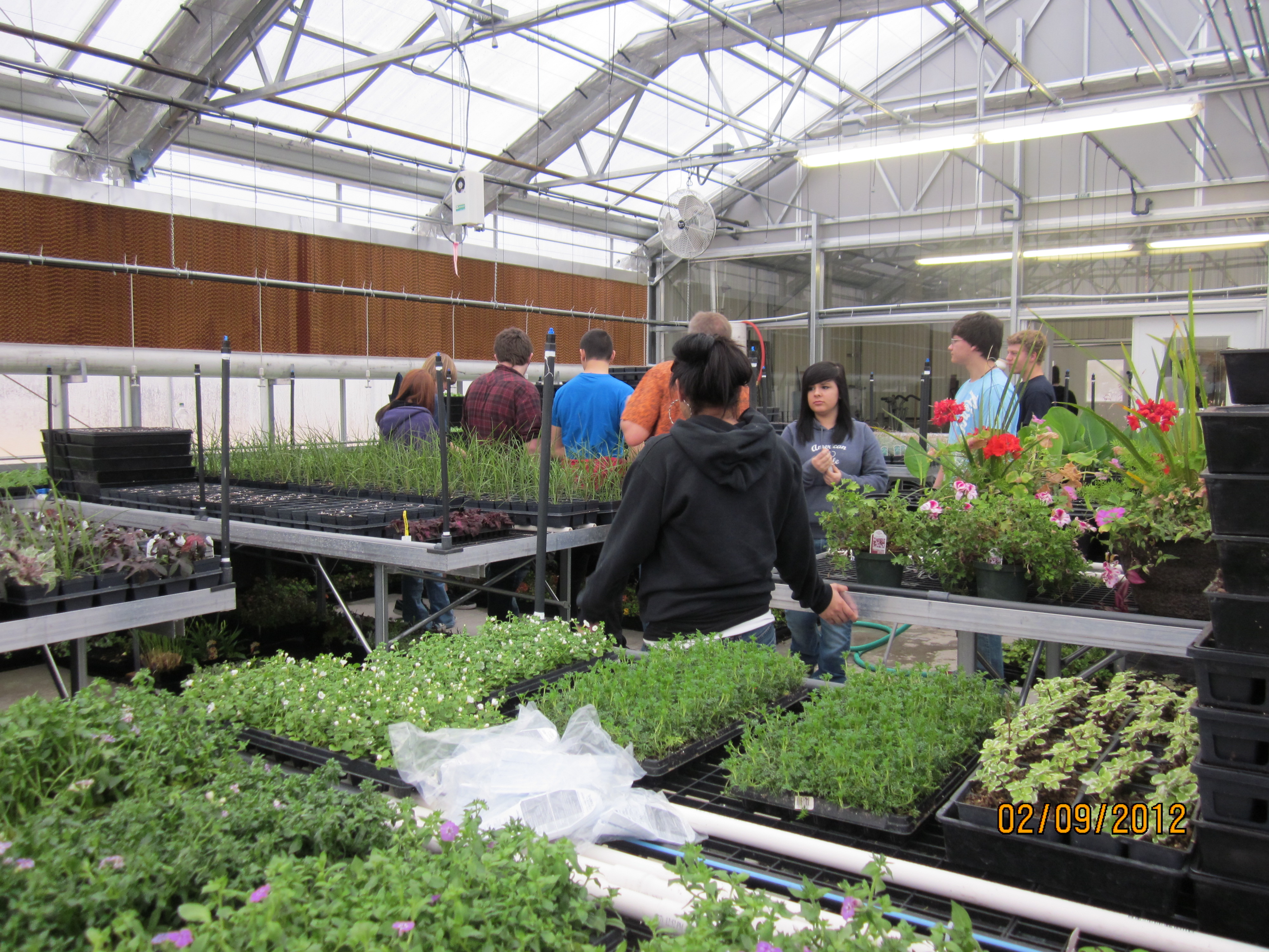 Greenhouse Management class Landmark High School pictures.nebo.edu